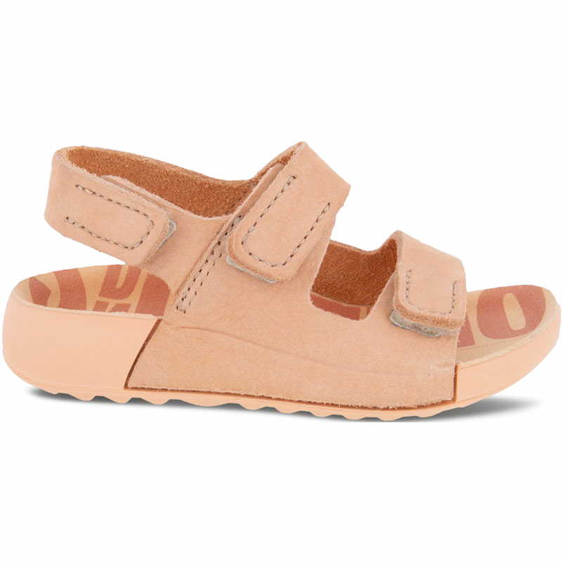 703401 | dusty peach