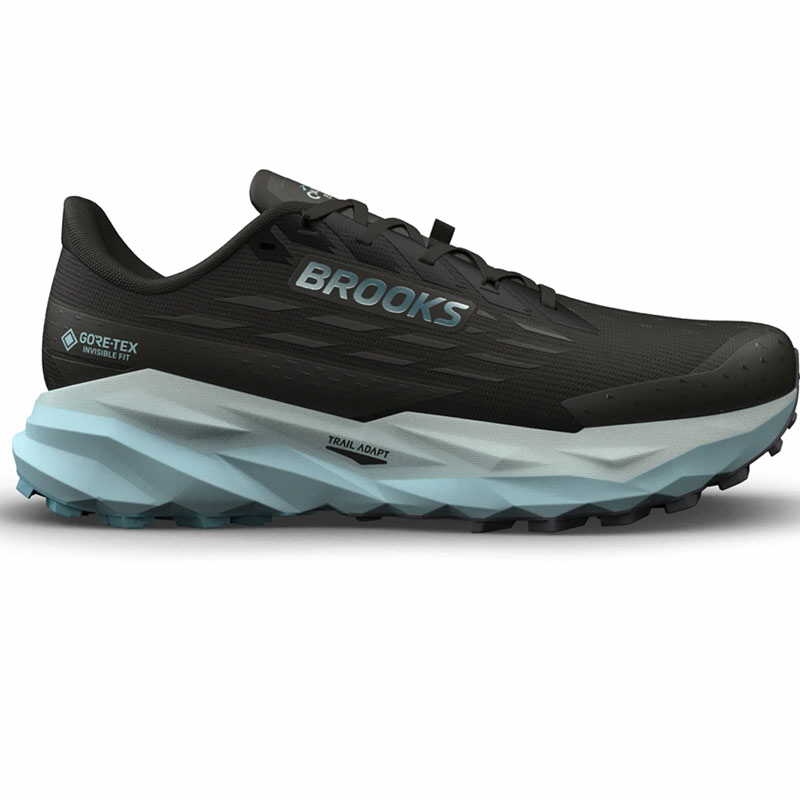 Cascadia 19 GTX | Trailrunning