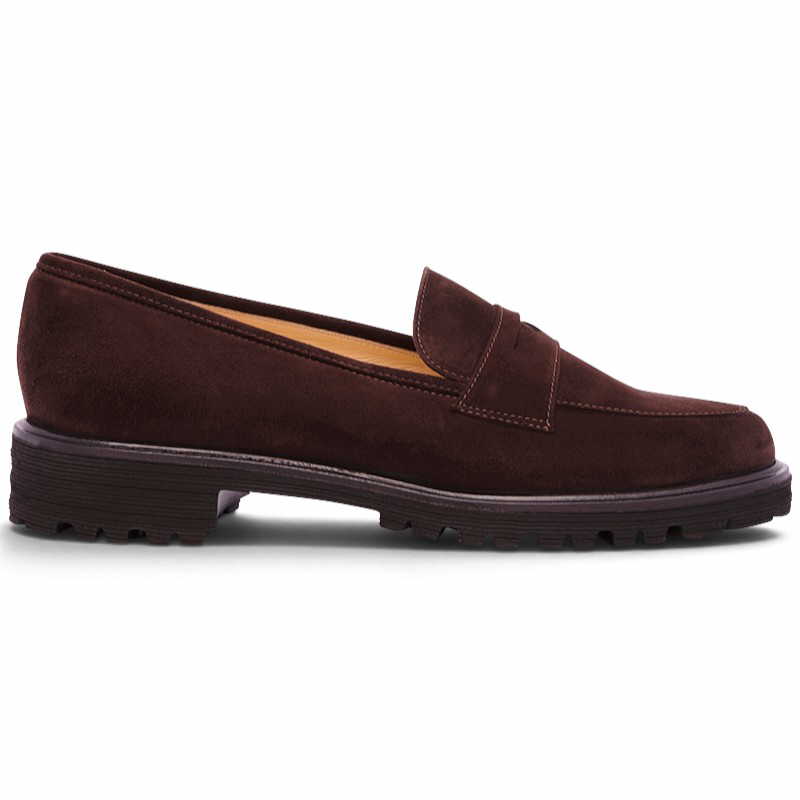A10S 11085 | camoscio moro
