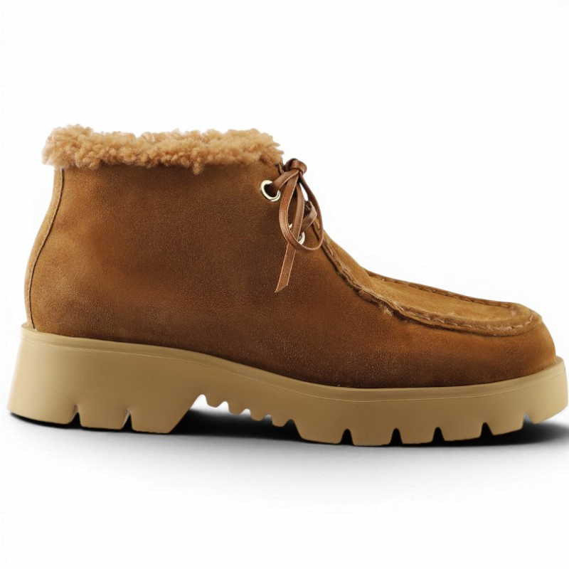 102435 | camel