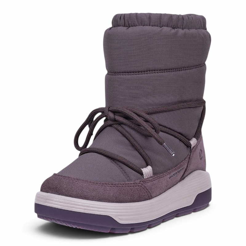713112 | viola