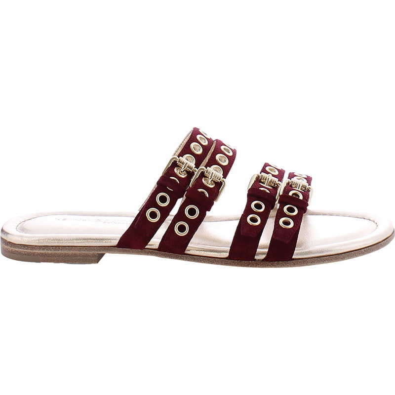 51-96540 | bordo gold